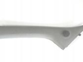 (B) Pillar trim (exterior)