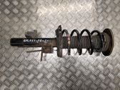 Front shock absorber with coil spring