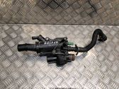 Thermostat/thermostat housing