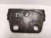 Trunk lock loop