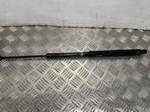 Gasdruckfeder Dämpfer Motorhaube