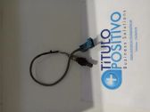 Signalizacijos daviklis