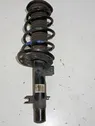 Front shock absorber/damper