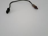 Alarm movement detector/sensor