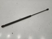 Tailgate/trunk strut/damper
