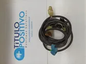 Techo