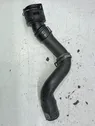 Coolant pipe/hose