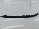Engine bonnet/hood