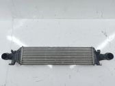 Intercooler radiator