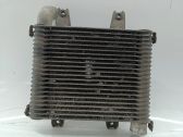 Intercooler radiator