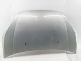Engine bonnet/hood