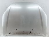 Motorhaube