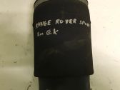 Rear air suspension bag/shock absorber