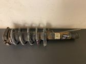 Front shock absorber with coil spring