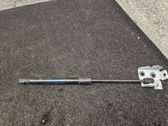 Front bonnet/hood damper/strut