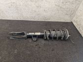 Front shock absorber with coil spring