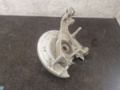 Rear wheel hub