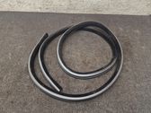 Rear door rubber seal (on body)