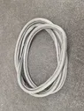 Front door rubber seal