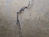Fuel line pipe
