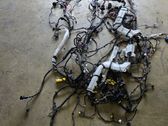 Other wiring loom