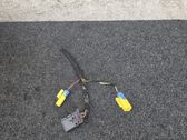 Other wiring loom