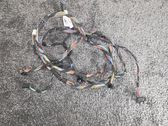 Other wiring loom
