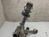 Front wheel hub spindle knuckle