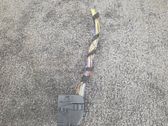 Other wiring loom