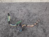 Other wiring loom