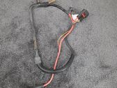 Other wiring loom