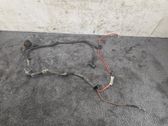 Other wiring loom