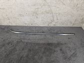 Rear side glass trim