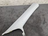 (A) pillar trim