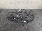 Other wiring loom