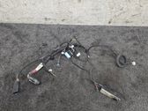 Other wiring loom