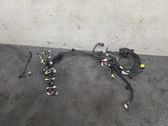 Other wiring loom