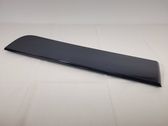 Rear door trim (molding)