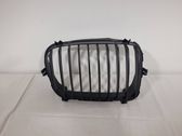 Grille de calandre avant