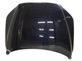 Engine bonnet/hood