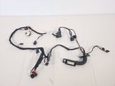 Front door wiring loom