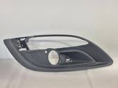 Front fog light trim/grill