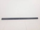 Front door trim (molding)