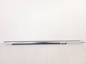 Front door glass trim molding