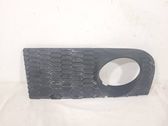 Front fog light trim/grill