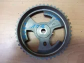 Timing chain sprocket