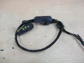 Windshield washer fluid hose