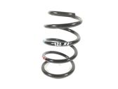 Rear coil spring