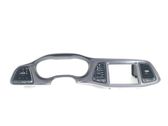 Dashboard trim