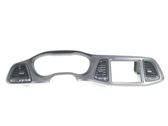 Dashboard trim